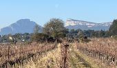 Tour Wandern Valflaunès - Lancyre en Liberté  - Photo 6