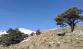 Excursión Esquí de fondo Valdeblore - Mont Petoumier. Mont Pépoiri - Photo 1