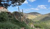 Trail Walking Argelès-sur-Mer - Mas Cristina: Par les trois mas - Photo 8