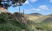 Excursión Senderismo Argelès-sur-Mer - Mas Cristina: Par les trois mas - Photo 8