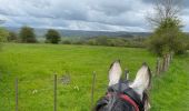 Trail Horseback riding Theux - Ninglinspo  - Photo 1