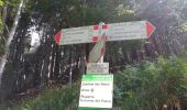 Trail On foot Lizzano in Belvedere - IT-129 - Photo 2