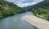 Trail Walking Pied-de-Borne - Le tour du chassezac - Photo 3