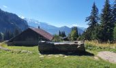 Tour Wandern Servoz - lac vert, pormenaz, col  d'anterne - Photo 17