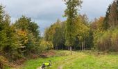 Tour Wandern Léglise - Bombois 8-9 km - Photo 2