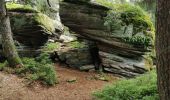 Trail Walking Ribeauvillé - boucle la grande verrerie-roche des 3 tables-roche des reptiles-roche des géants-la grande verrerie  - Photo 2
