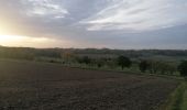 Tocht Trail Oudenaarde - Ten Voeten uit koppenberg - Photo 9