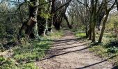Trail Walking Berchem-Sainte-Agathe - Sint-Agatha-Berchem - Molenbeek vert 1 - Photo 9