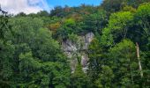 Randonnée Marche Chimay - Balade de Lompret à Aublain - Photo 4