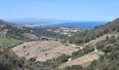 Tour Wandern Collioure - autour de Collioure a travers les vignes - Photo 17