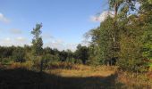 Tocht Stappen Haramont - en forêt de Retz_84_la Laie du Petit Bois d'Haramont - Photo 15