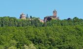 Randonnée Marche Orschwiller - HAUT KOENIGSBOURG - Photo 3