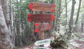 Trail On foot Fanano - Alta via dei Parchi: Tappa 10 - Photo 2