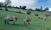 Excursión Senderismo Ponsas - Les roches qui danse - Photo 2