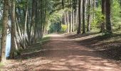 Trail Walking Ronno - lac des Sapins - Photo 4