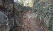 Trail Walking Riemst - autour de Kanne via montagne St Pierre et les vignes - Photo 7