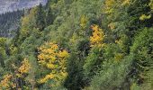 Tour Wandern Passy - J27 - R25 - 🍂🍁 Plaine-Joux - Les Ayères  - Lac Vert 🍁🍂
 - Photo 16