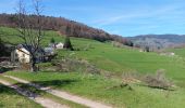 Tocht Stappen Fréland - CVL - Rando 25/03/2024 - Col de Chamont - Photo 5