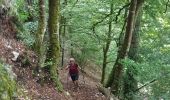 Trail Walking Apremont - Couloir Basset - Photo 1