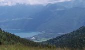 Tour Wandern Bellecombe-en-Bauges - BAUGES: CRET DU CHAR... avec montée par le Golet de Doucy - Photo 1