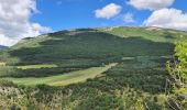 Tour Wandern La Motte-Chalancon - La Motte Chalancon - Plateau de la Chau - Photo 11