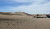 Tocht Stappen San Bartolomé de Tirajana - Les dunes de Maspalomas (Gran Canaria) - Photo 9