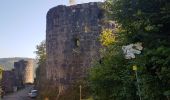 Trail Walking Schramberg - Schramberg - Châteaux de Falkenstein et de Hohenschramberg - Photo 15