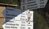 Trail On foot Bad Rippoldsau-Schapbach - Wolftalweg - Photo 7