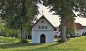 Tour Zu Fuß Schardenberg - Schardenberg - Passau - Photo 3