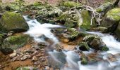 Tour Zu Fuß Ilsenburg - Ilsenburg - Plessenburg - Darlingerode - Photo 6