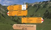 Tour Zu Fuß Lungern - Schmetterlingspfad Lungern - Photo 2