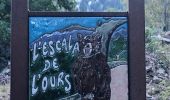 Excursión Senderismo Fillols - 20200805 milleres-barbet-pic du Canigou-Joffre... - Photo 7