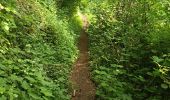 Trail Running Dinant - D'Anseremme à Dinant - Photo 15