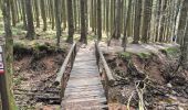 Trail Walking Waimes - Peak brune - Photo 2