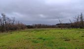 Trail Walking Aywaille - sedoz - vert-buisson (via ninglinspo) - porallée - vieux chera - sedoz - Photo 9