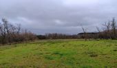 Randonnée Marche Aywaille - sedoz - vert-buisson (via ninglinspo) - porallée - vieux chera - sedoz - Photo 9