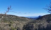 Trail Walking Mazaugues - Plateau d'Agnis, au dessus de Mazaugues - Photo 13