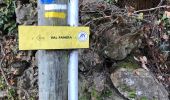 Tour Wandern Taurinya - Valpanera 1 et reçois - Photo 12