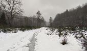 Tour Wandern Bertrix - Randonnée à Bertrix  - Photo 2