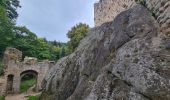 Excursión Senderismo Dambach-la-Ville - Les rochers du Dachfirst - Photo 20