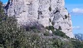 Randonnée Marche Plan-d'Aups-Sainte-Baume - Dent de la Roque Forcade après reco  - Photo 2