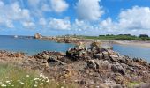 Excursión Senderismo Île-de-Bréhat - JOURNEE A L'ILE DE BREHAT - Photo 11