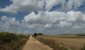 Tocht Stappen Viloria de Rioja - Villafranca del Oca - Photo 2