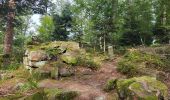 Tour Wandern Niederhaslach - Niederhaslach - châteaux Ringelstein - Rochers du Pfaffenlapp et du Breitberg - Photo 6