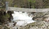 Trail Walking Prévenchères -  Gorges de Chassezac - Photo 8