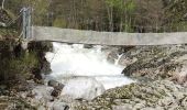 Tocht Stappen Prévenchères -  Gorges de Chassezac - Photo 8