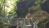 Randonnée Marche Berdorf - Berdorf - B2 - Müllerthal - Photo 9