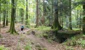 Trail Walking Grandfontaine - Positions fortifiées du Donon sentier des casemates - sud - Photo 7