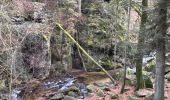 Trail Walking Le Tholy - Les 2 cascades du Tendon (grand tour) - Photo 8