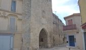 Percorso Marcia Saint-Mitre-les-Remparts - PF-Saint-Mitre-les-Remparts - Le Balcon du Caderaou - Photo 10